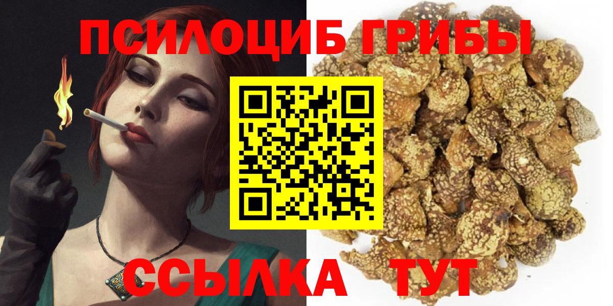 Псилоцибиновые грибы Psilocybine cubensis  Вход с VPN  Прохладный 